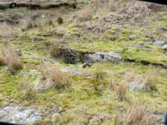 Blaentillery 1966 Level, 'Roben's Folly', March 2011